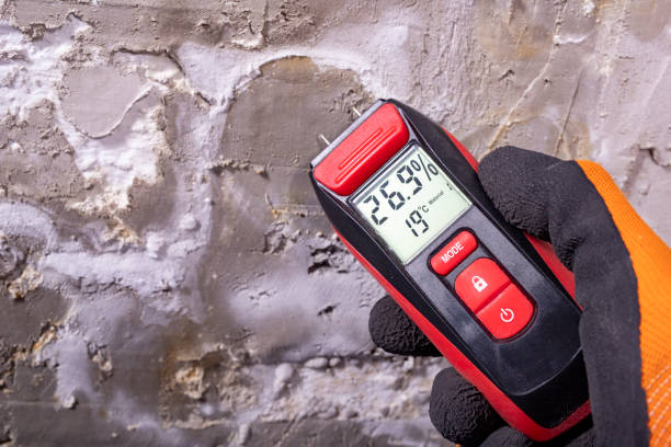 Best Mold Damage Repair  in Haddon Heights, NJ