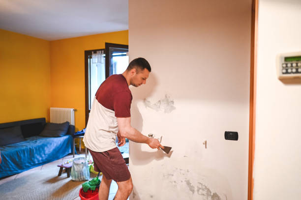 Best Mold Removal Near Me  in Haddon Heights, NJ